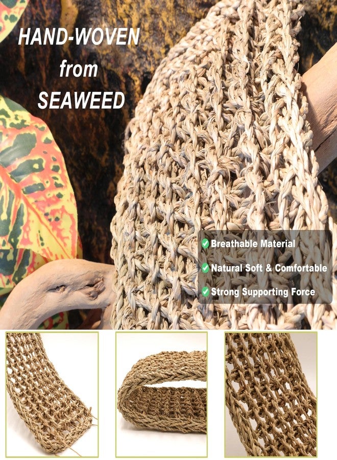 ExoRepti Bearded Dragon Hammock Lizard Tank Accessories Reptile Lounger Amphibian Habitat Décor for Chameleon, Geckos, Snakes, Hermit Crab, Lguana Reptiles, Tortoises - Image 3